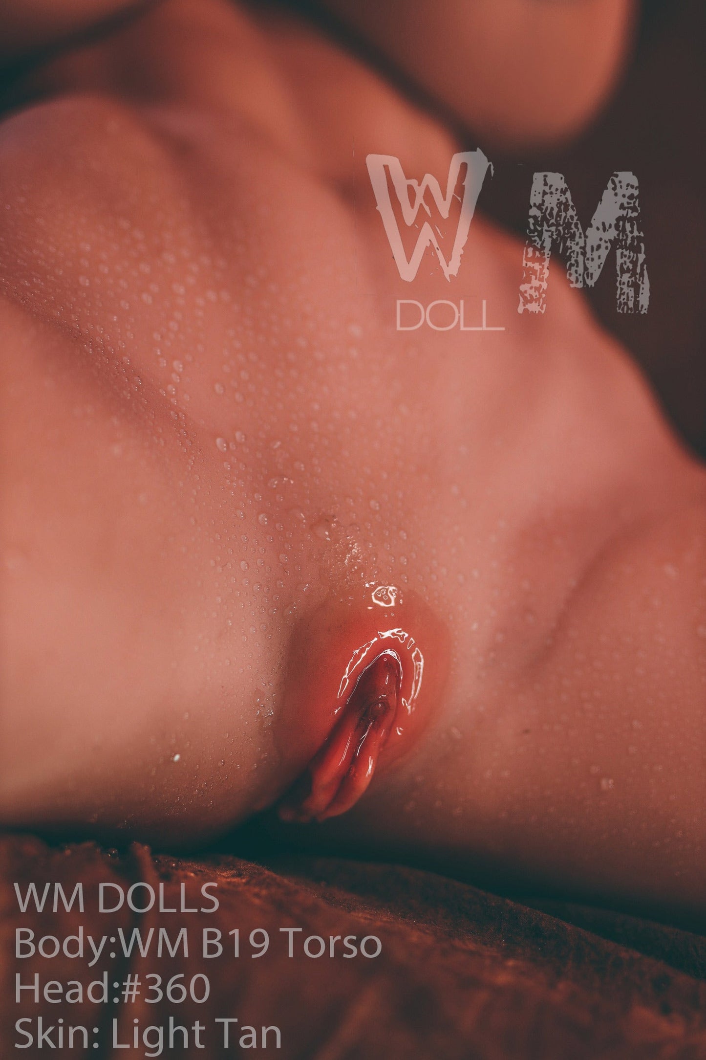 WM Doll B19 (89cm) Torso - Head 360