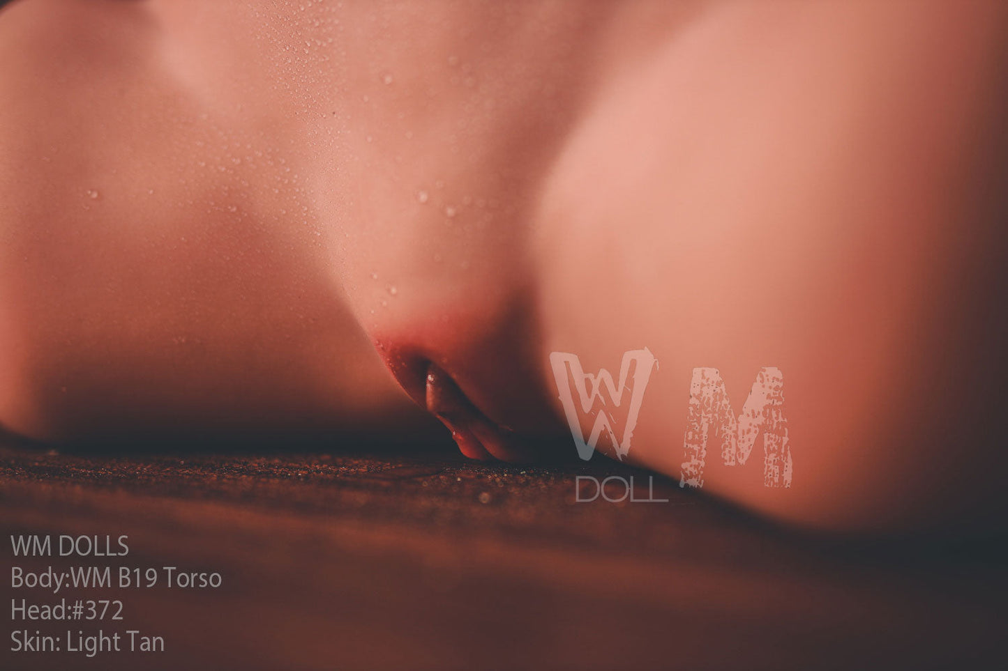 WM Doll B19 (89cm) Torso - Head 372